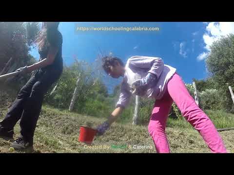 Kids Family Friendly Organic Vegetable Gardening:Dalia’s Worldschooling Calabria Dedactic Education